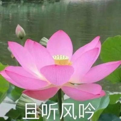 湖南体彩“十三五”筹集公益金77亿元