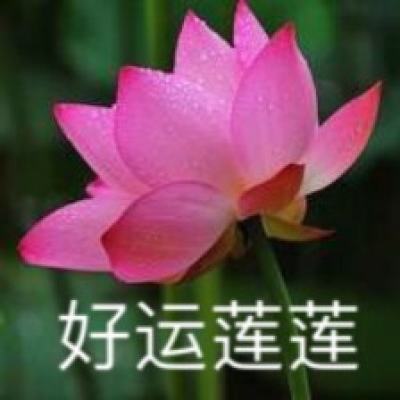 “中国女排精神展”走进香港校园